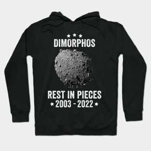 Dimorphos rest in pieces 2003 - 2022 Hoodie